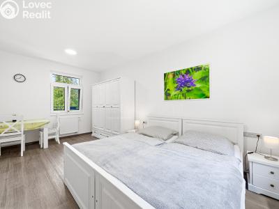 Sale apartment 1+KK Horní Břečkov č. 5