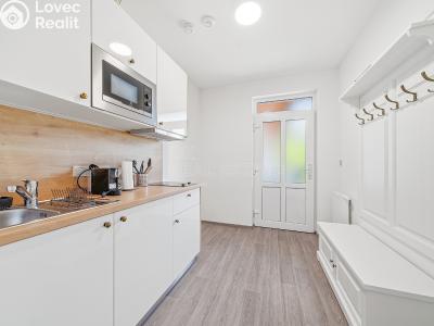 Sale apartment 1+KK Horní Břečkov č. 6