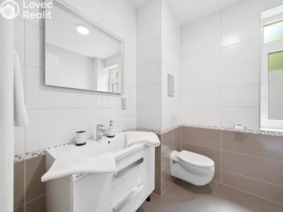 Sale apartment 1+KK Horní Břečkov č. 7