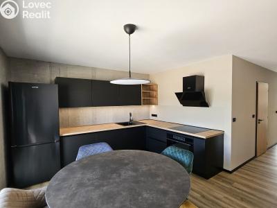Pronájem bytu 2+1 Karlovy Vary, Chebská č. 12