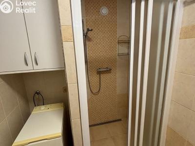 Prodej bytu 2+1 Sezimovo Ústí, K Hájence 674 č. 14
