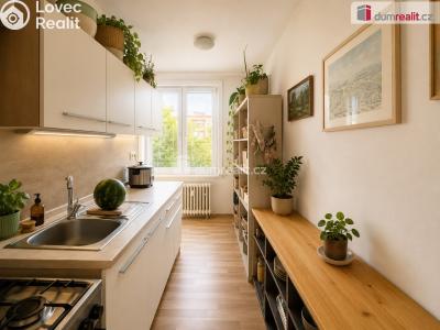 Pronájem bytu 3+1 Ústí nad Labem, Svojsíkova č. 1