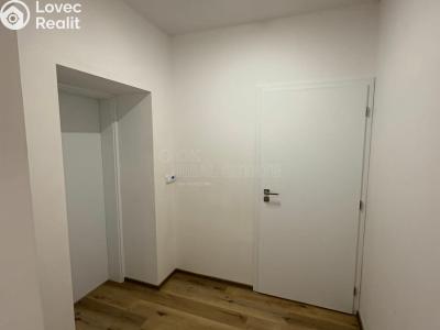 Pronájem bytu 1+KK Doloplazy č. 5