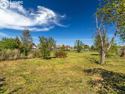 Sale family house Srch, Pardubická 99 č. 5