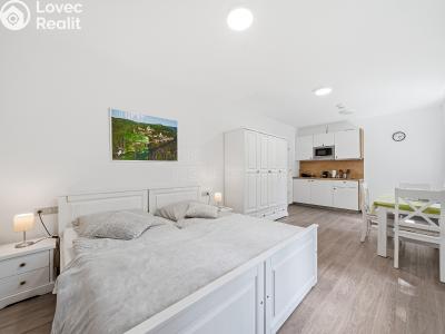 Sale apartment 1+KK Horní Břečkov č. 4