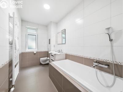 Sale apartment 1+KK Horní Břečkov č. 5