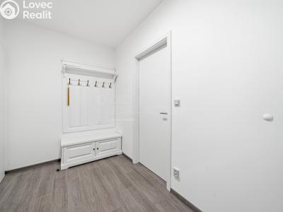 Sale apartment 1+KK Horní Břečkov č. 6