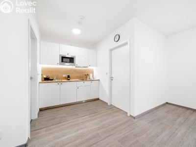 Sale apartment 1+KK Horní Břečkov č. 6
