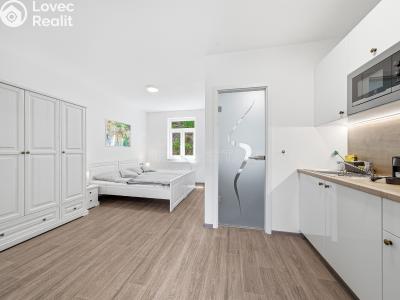 Sale apartment 1+KK Horní Břečkov č. 8