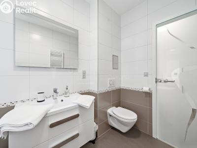 Prodej bytu 1+KK Horní Břečkov č. 8