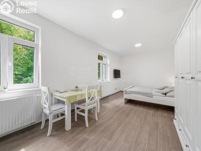 Prodej bytu 1+KK Horní Břečkov č. 5