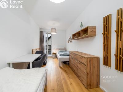 Sale apartment 3+KK Janov nad Nisou č. 14