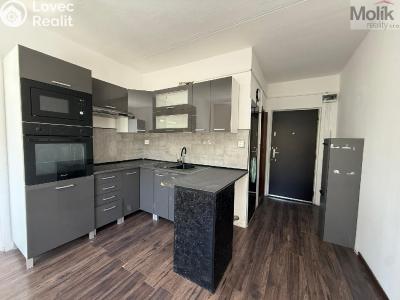 Pronájem bytu 2+1 Bílina, Sídliště Za Chlumem 799 č. 6