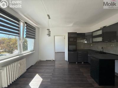 Pronájem bytu 2+1 Bílina, Sídliště Za Chlumem 799 č. 2