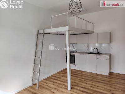 Pronájem bytu 1+KK Děčín, Zelená č. 14
