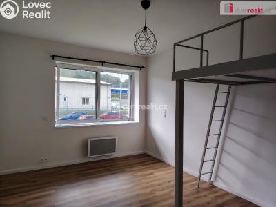 Pronájem bytu 1+KK Děčín, Zelená č. 4