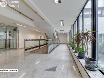 Rent office space Praha, Sokolovská č. 7