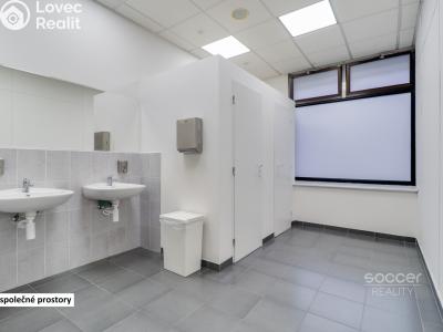 Rent office space Praha, Sokolovská č. 9