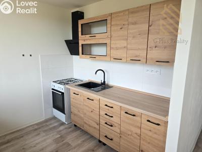 Pronájem bytu 1+1 Bílina, Fügnerova 254 č. 1