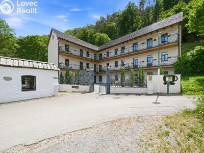 Sale apartment 1+KK Horní Břečkov č. 3