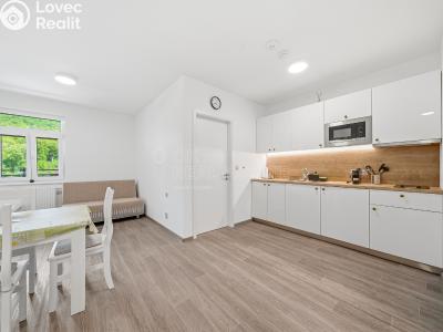 Sale apartment 1+KK Horní Břečkov č. 6