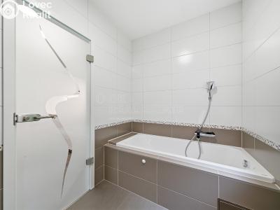 Sale apartment 1+KK Horní Břečkov č. 7