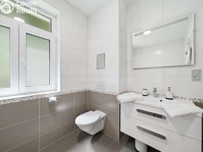 Sale apartment 1+KK Horní Břečkov č. 8