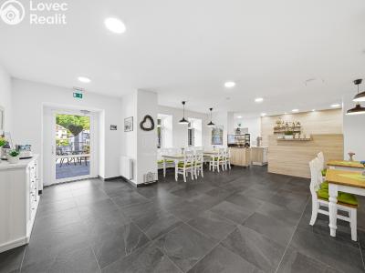 Pronájem restaurace Horní Břečkov č. 6