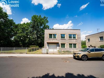 Sale multi-gen house Chomutov, Krátká 4316 č. 2