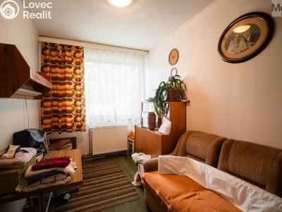 Sale multi-gen house Chomutov, Krátká 4316 č. 16