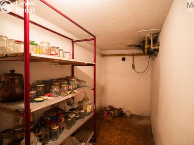 Sale multi-gen house Chomutov, Krátká 4316 č. 31