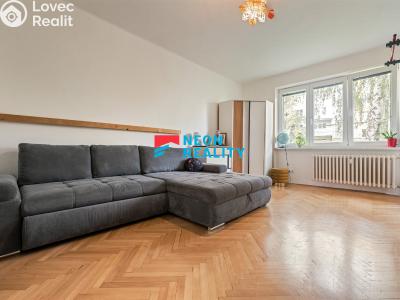 Sale apartment 3+KK Kopřivnice, K. Čapka č. 3