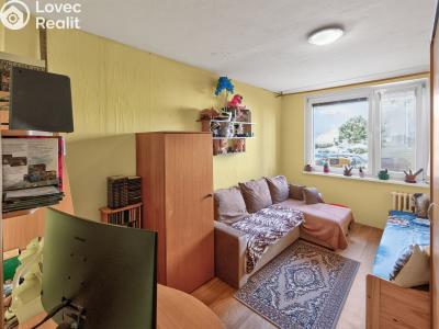 Sale apartment 3+1 Dobříš, Nad Papežem 1494 č. 4