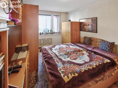 Sale apartment 3+1 Dobříš, Nad Papežem 1494 č. 8