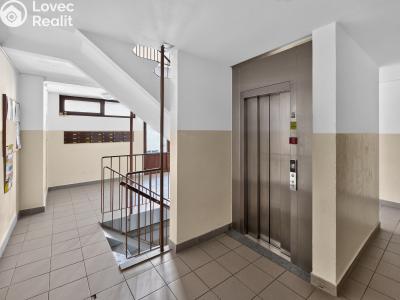 Sale apartment 3+1 Dobříš, Nad Papežem 1494 č. 14