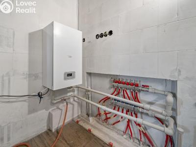 Продажа семейного дома Hevlín č. 15