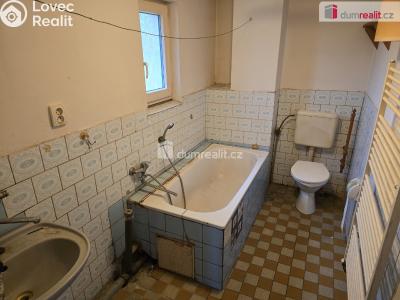 Sale family house Jizbice č. 18