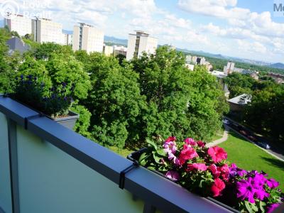 Prodej bytu 3+1 Litvínov, Tylova 2073 č. 5