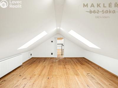 Продаж нестандартної квартири Praha, Elišky Přemyslovny č. 14