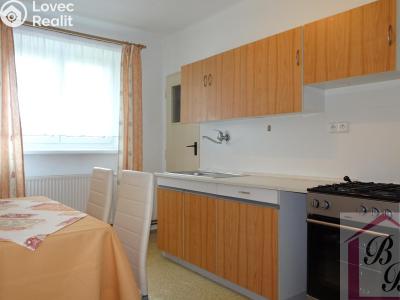 Rent apartment 2+1 Mladá Boleslav, Erbenova č. 2