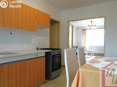 Rent apartment 2+1 Mladá Boleslav, Erbenova č. 11