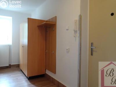 Rent apartment 2+1 Mladá Boleslav, Erbenova č. 12