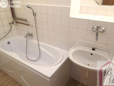 Rent apartment 2+1 Mladá Boleslav, Erbenova č. 13