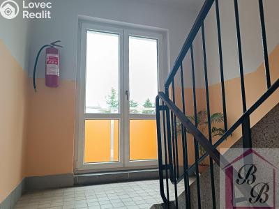 Rent apartment 2+1 Mladá Boleslav, Erbenova č. 15