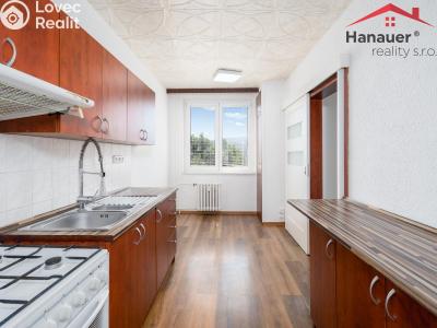 Prodej bytu 3+1 Ústí nad Labem, Přemyslovců č. 3