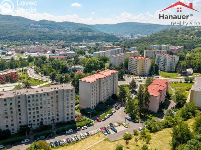 Prodej bytu 3+1 Ústí nad Labem, Přemyslovců č. 20