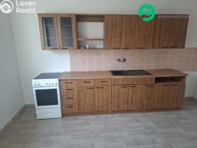 Prodej bytu 1+1 Novosedlice, Bystřická č. 6