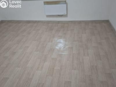 Prodej bytu 1+1 Novosedlice, Bystřická č. 11