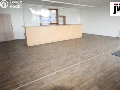 Pronájem skladového prostoru Plzeň, Domažlická č. 10