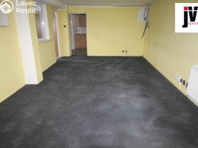 Pronájem skladového prostoru Plzeň, Domažlická č. 16